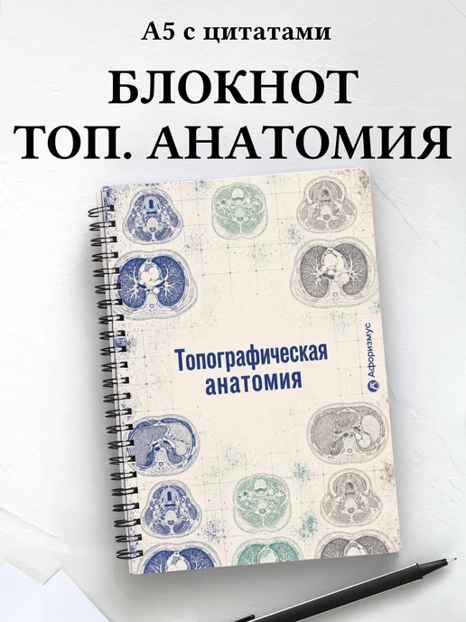 Тетрадь Анатомия с мотивирующими цитатами