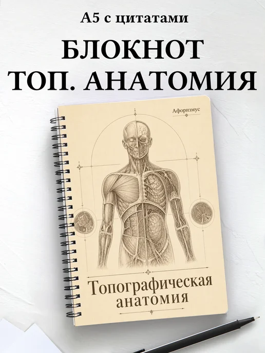 Тетрадь Анатомия с мотивирующими цитатами
