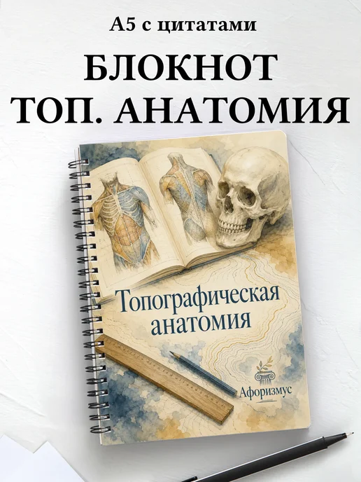 Тетрадь Анатомия с мотивирующими цитатами