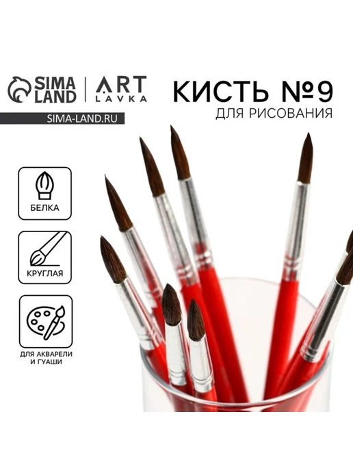 d61b9v6w