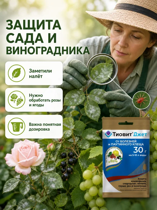 Зеленая Аптека Садовода Тиовит Джет для винограда 30гр, 30 г, фото 2