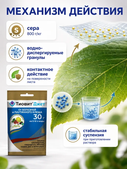 Зеленая Аптека Садовода Тиовит Джет для винограда 30гр, 30 г, фото 5