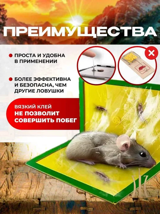 Мышеловка клеевая ловушка для мышей, комплект 5 штук, вариант, фото 4