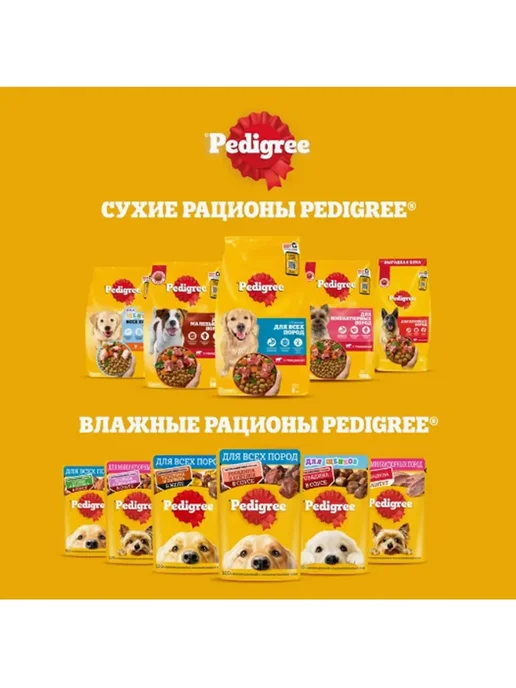 Сухой корм PEDIGREE Маленьких для собак, взрослые, говядина, 0,5 кг, фото 5