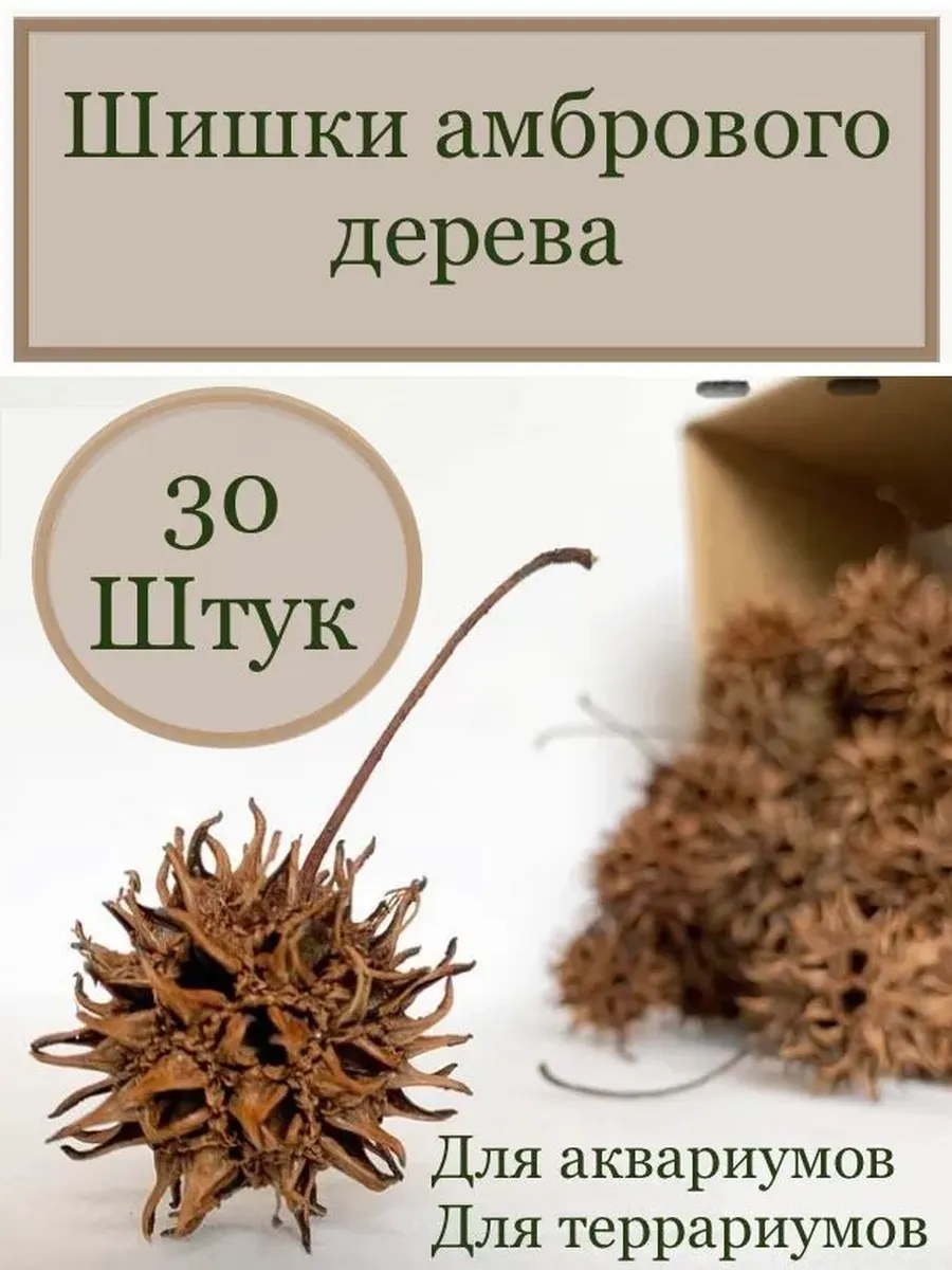 Шишки амбрового дерева для аквариума, 30 шт