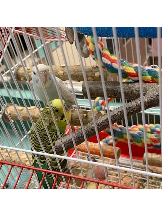 Набор 4 шт игрушек для попугаев, деревянные жердочки, для, 4 шт, фото 2