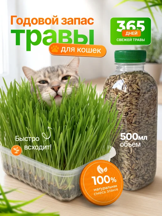 Мурмули Трава для кошек и других питомцев в бутыле на 360 дней, вариант