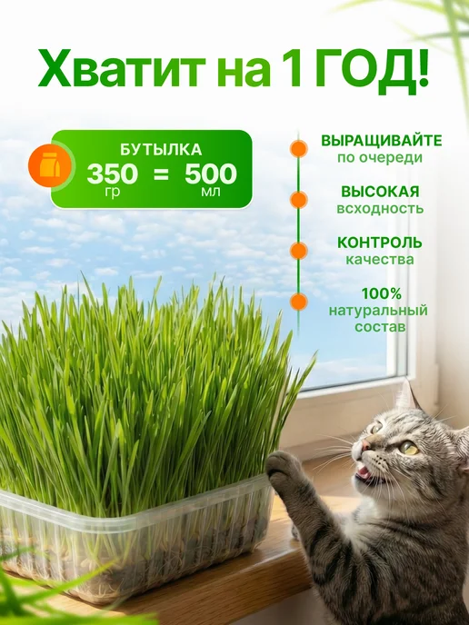 Мурмули Трава для кошек и других питомцев в бутыле на 360 дней, вариант, фото 2