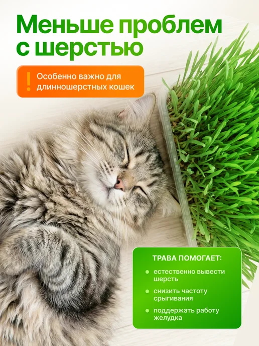 Мурмули Трава для кошек и других питомцев в бутыле на 360 дней, вариант, фото 4