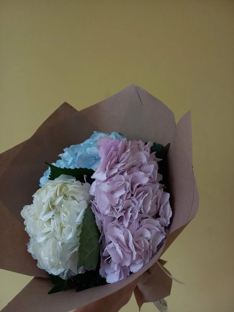 Букет Well Flowers из 3 Гортензии