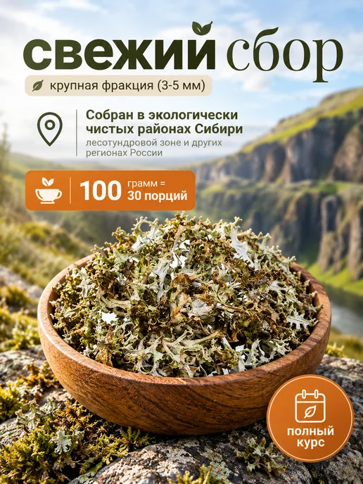 Здоровье Health Исландский мох от кашля цетрария, вариант, фото 2