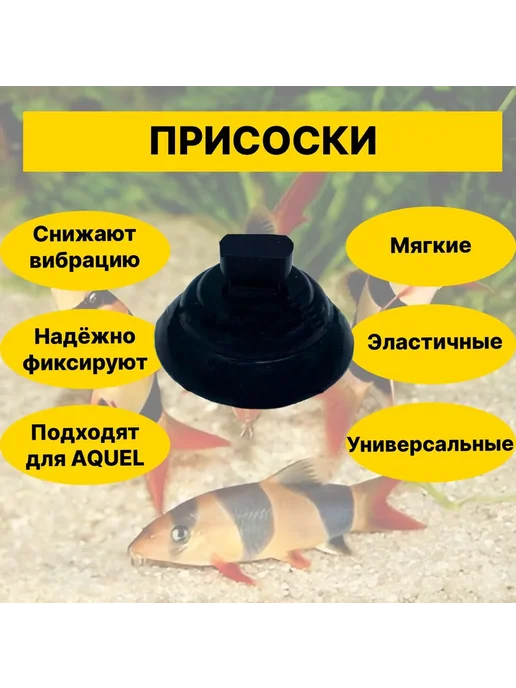 Нет бренда комплект присосок для аквариумов и террариумов d22мм (4шт), 4 шт, фото 2