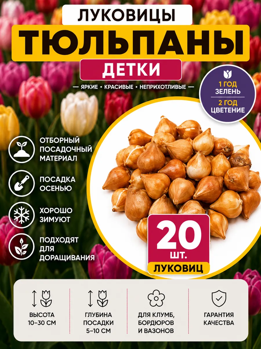 Луковицы тюльпанов детки очищенные 20шт микс
