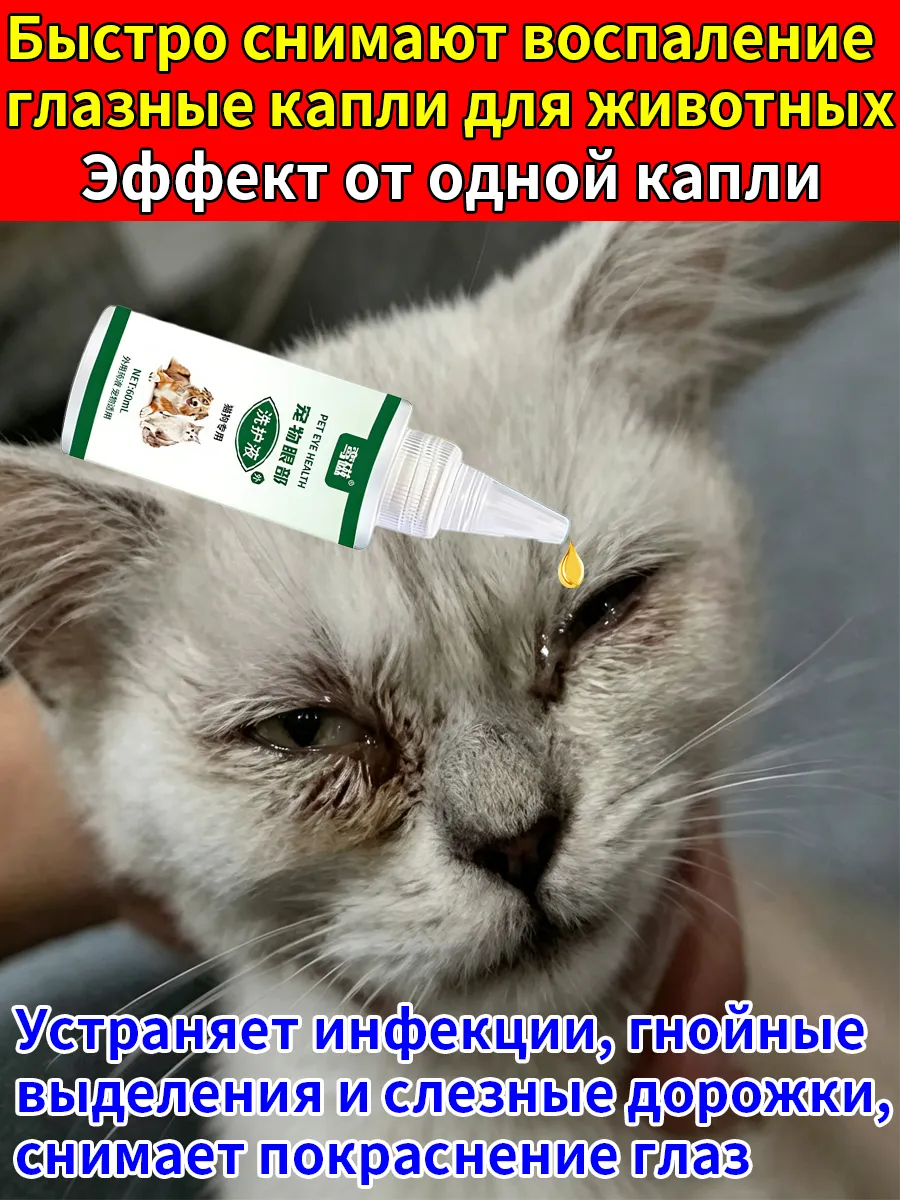 Антибиотики для кошек и собак