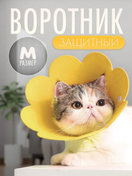 Воротник для животных, вариант
