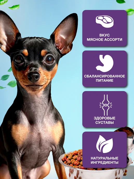 Сухой корм BESAR Лайф Кг. для собак, взрослые, мелкие, 9 кг, фото 5